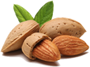 Almond: [directory links]